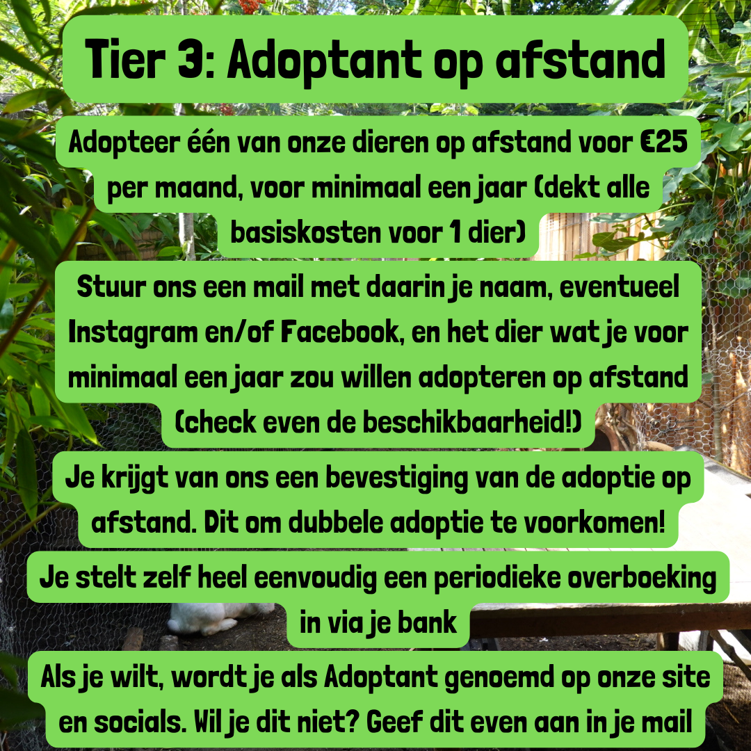 Adoptant op afstand